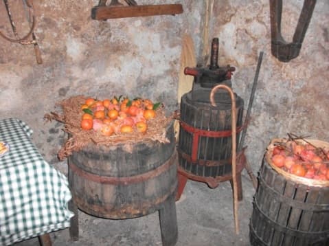 Allestimento della cantina del quartiere Capo Lo Serro